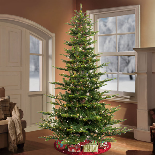 Baldrik 90'' Lighted Artificial Fir Christmas Tree | Full & Lush with 1000 Multicolor Lights main image 1